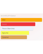 Scandal Jean Paul Gaultier pour femme