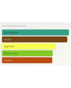 Acqua di Giò Absolu Giorgio Armani - 100ml