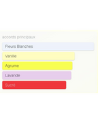 Libre Flowers & Flames Yves Saint Laurent - 90ml